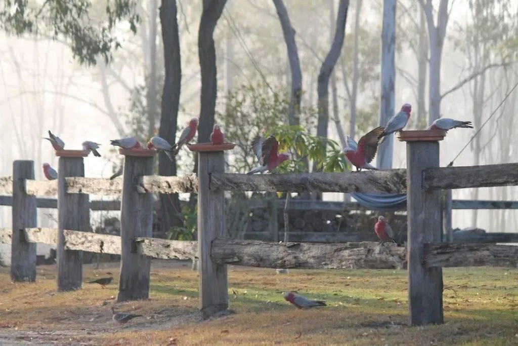 Feriehus Saddleback Country Cabins Near Gin Gin Villa Moolboolaman Australien