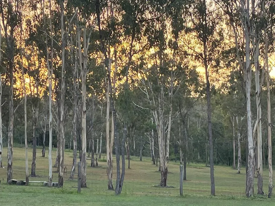 Feriehus Saddleback Country Cabins Near Gin Gin Villa Moolboolaman
